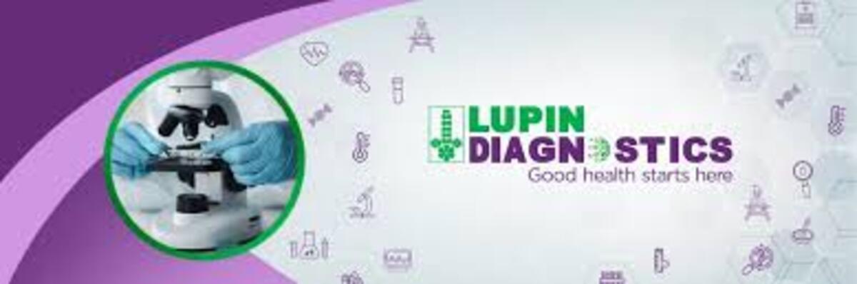 Home lupin dia 4 (1)